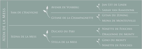 Aïda de la Mess